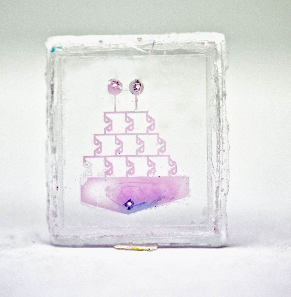 3D printing microfluidic glass chip